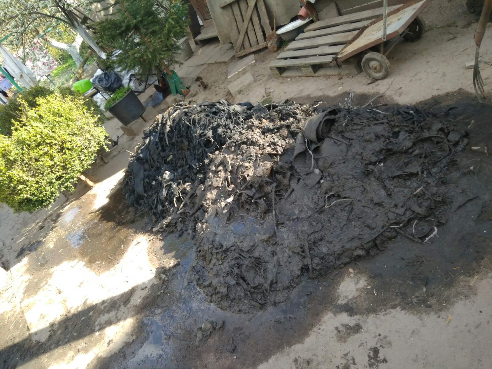 болото з криниці